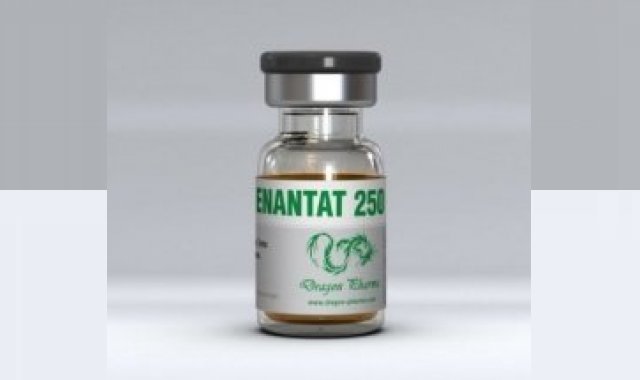 Dragon Pharma Enantat 250 Lab Results