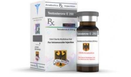 Buy Odin Pharma Testosterone E 250 Cycle