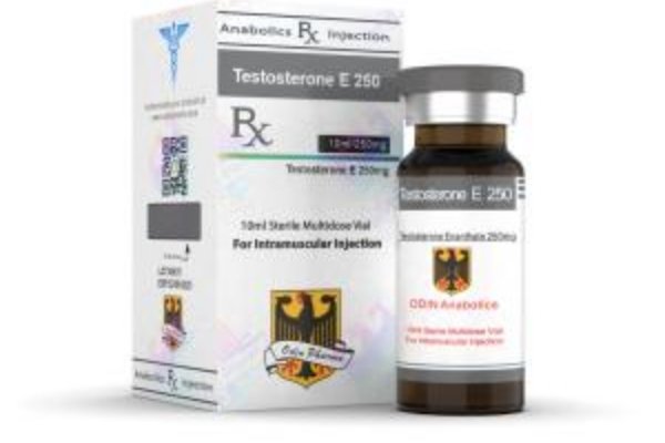 Buy Odin Pharma Testosterone E 250 Cycle Buy Odin Pharma Testosterone E 250 Cycle
