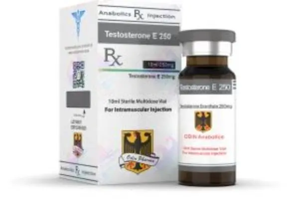 Buy Odin Pharma Testosterone E 250 Cycle Buy Odin Pharma Testosterone E 250 Cycle