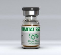 Dragon Pharma Enantat 250 Lab Results