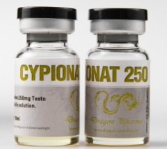 Dragon Pharma Cypionat 250 Lab Results