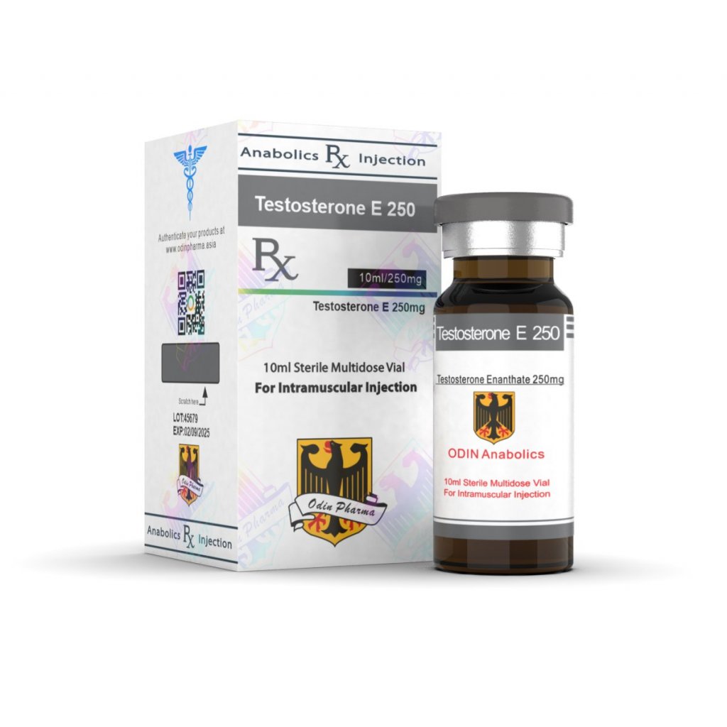 Testosterone E 250 Testosterone E 250